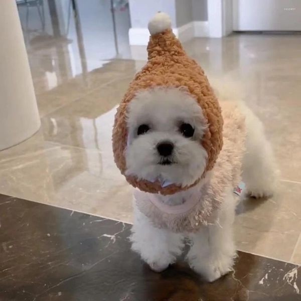 Abbigliamento per cani Cappello per animali domestici Piccolo copricapo invernale caldo per orsacchiotti Carino come orso gatto mago gattino cucciolo