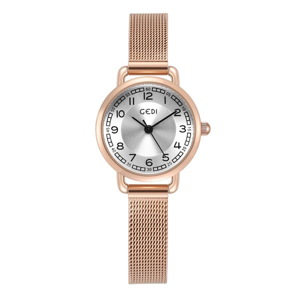 Montre de luxe légère pour femmes, cadran rond, échelle numérique simple, maille en acier inoxydable, avec montre à quartz étanche, cadeaux de luxe