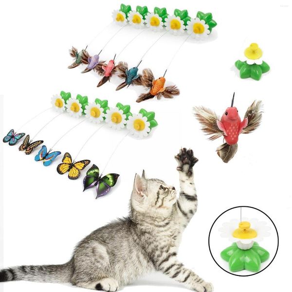 Brinquedos de gato brinquedos de giro elétrico automático Treinamento de cachorro colorido Treinamento de cães plástico gatinho de animais de estimação Animal engraçado pássaro interac d0p2