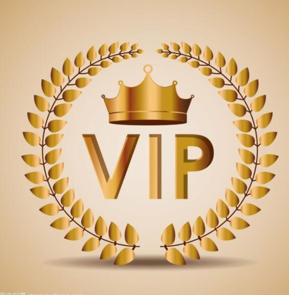 1VIP Link Ödeme Bağlantısı Giysileri Özelleştirme için. Lütfen tüm ürünler ve boyutları hakkında müşteri hizmetleri özelliğimizle iletişim kurun