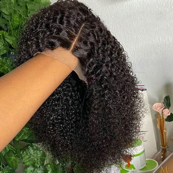 Kinky Curly Lace Frontal Human Hair Perücken 4x4 5x5 6x6 7x7 13x4 13x6 360 Full Lace Perücken für Frauen Natürliche Farbe Vorgezupfte leimlose Perücken