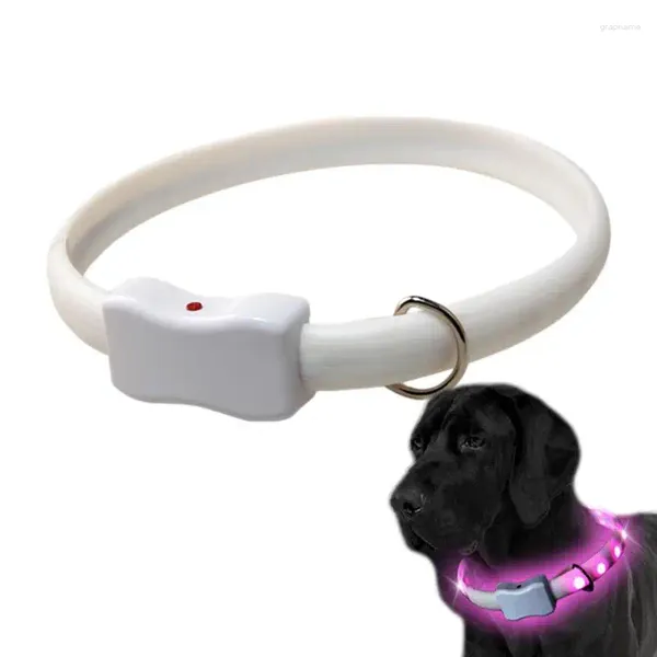 Collari per cani Collare a LED Ricaricabile Luminoso Comodo Lampeggiante Impermeabile Commutabile Collana luminosa multicolore