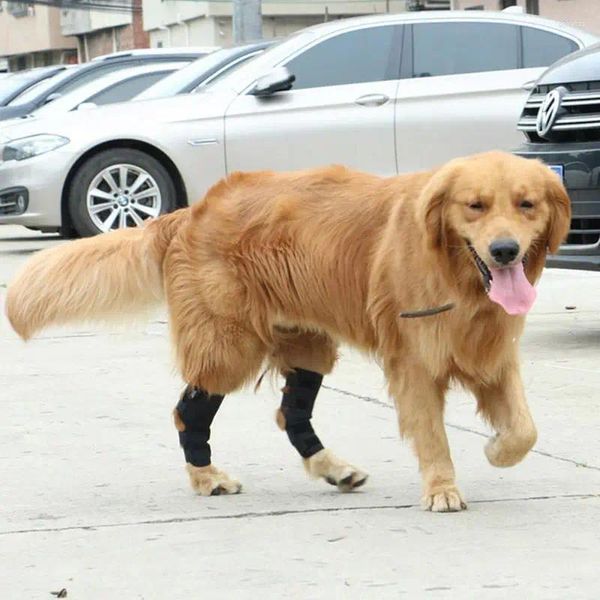 Vestuário para cães protege bandagem protetor de artrite capa suporte de perna cães jarrete cinta conjunta joelheiras para animais de estimação recuperação de lesões