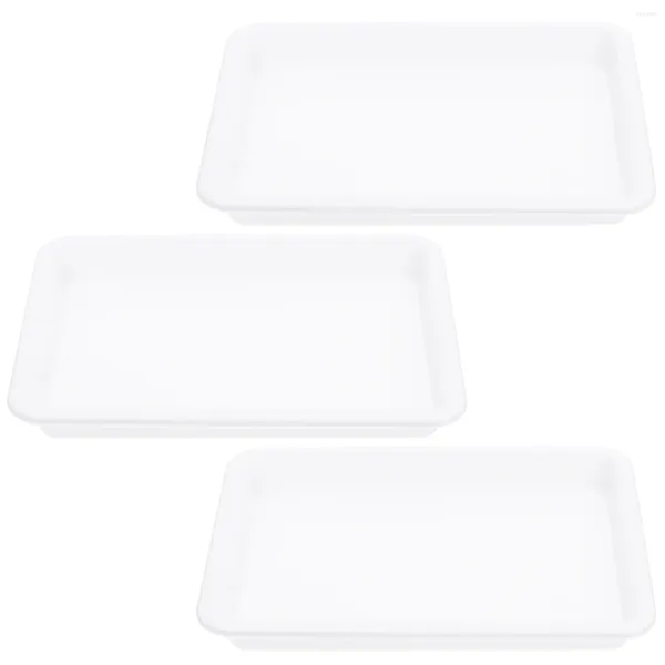 Placas 3 PCS Bandeja de Laboratório Plástico Crianças Pintura Pintura Escola Puzzle Experimento Artesanato Durável Criança