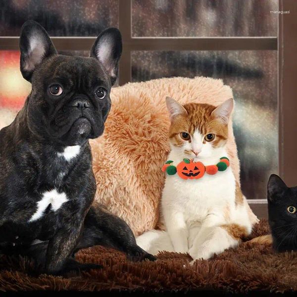 Coleiras de cachorro macio colar de gato abóbora teacup halloween filhote de cachorro bonito colar para gatos poodle