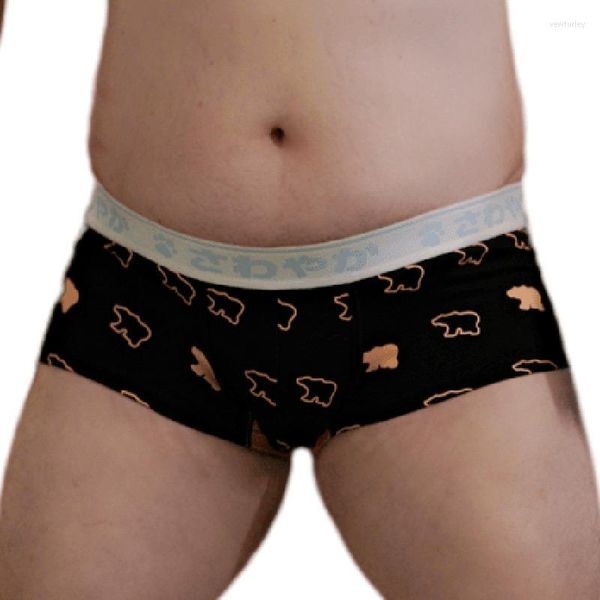 Mutande Simpatico orso Stampa Elasticità Boxer in cotone Taglie forti Lettera da uomo Gay Cuecas Intimo Bianco/Nero L XL XXL XXXL