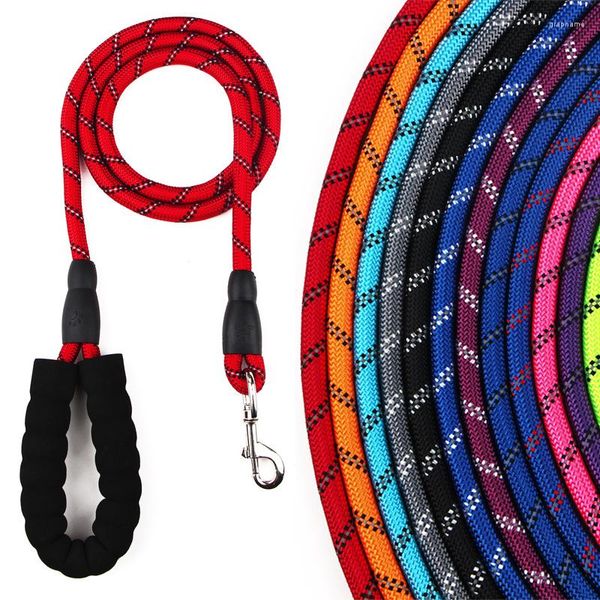 Collari per cani Collari Basic Guinzagli Prodotti Solid Pet Items Accessori Pettorina Nylon Sgancio rapido Breakaway Personalizzata Per tutte le stagioni