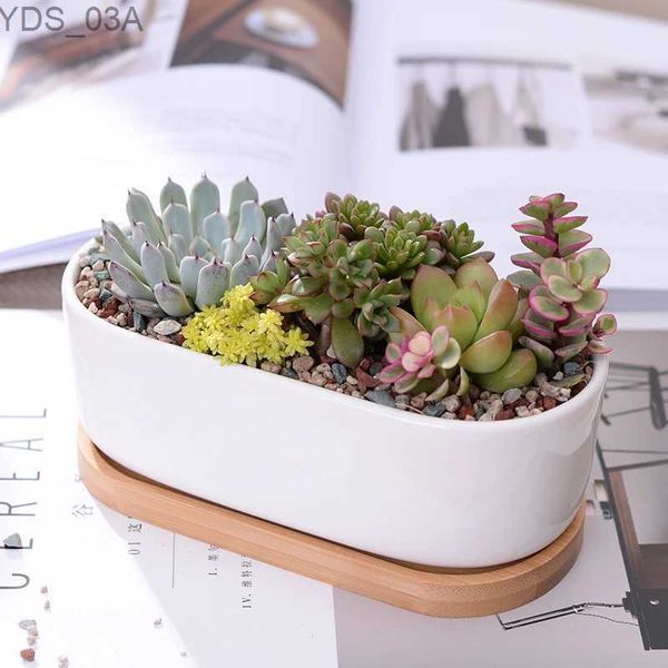 Plantenbakken Potten Minimalistische Witte Keramische Vetplant Pot Porselein Planter Home Office Decoratie Kerstcadeau YQ231117