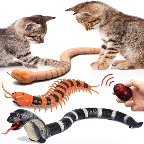 Animali RC elettrici RC Giocattolo serpente telecomandato per gatti Gattini Controller a forma di uovo Serpente a sonagli Teaser interattivo Gioca a Pet Kid 231117