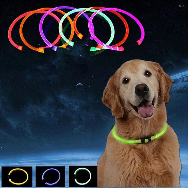 Collari per cani Carica USB Collare LED per animali domestici Bagliore notturno Luminoso ricaricabile Sicurezza Cucciolo Gatto Fluorescente Anti-smarrimento Evitare la fornitura di incidenti stradali