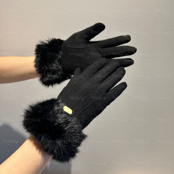 Классические кожаные утепленные перчатки, дизайнерские осенне-зимние теплые перчатки с пятью пальцами, варежки для женщин