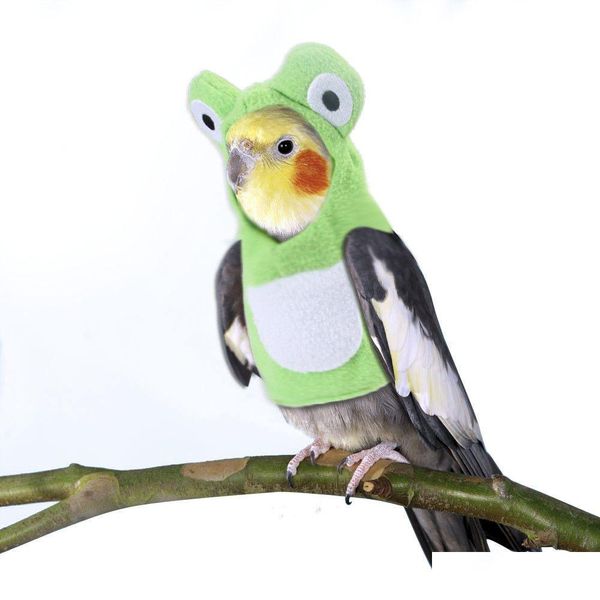 Outros suprimentos de pássaros Pet Birds Flight Suite para papagaios roupas Cockatiel engraçado sapo em forma de traje inverno quente animais de estimação mostra cosplay po p dhdmy