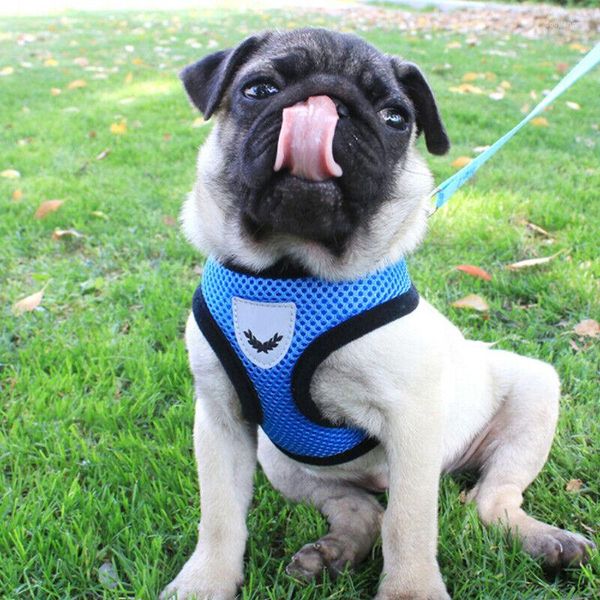 Colarinho de cachorro tipo colete tração corda de controle de animais de estimação para gato malha macia caminhada colarinho de segurança