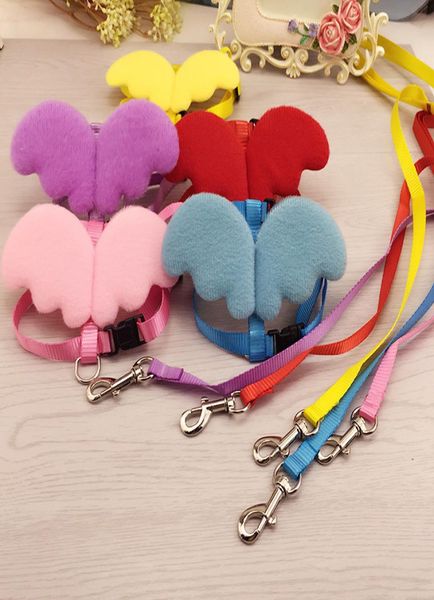 Simpatico guinzaglio e collari per cani da compagnia Angel Set Guinzagli per cuccioli per cani di piccola taglia Gatti Designer Wing Pettorina per cani regolabile Accessori per animali domestici4901350