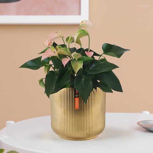 Vasen Light Luxury Creative Vertical Grain Matte Gold Phalaenopsis Hydroponic Green Ananas Non Porous Nordic Ceramic Flowerpot