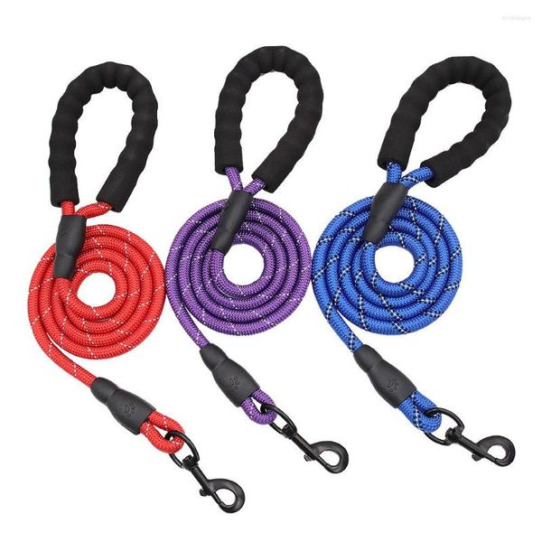 Collari per cani Corda di trazione di alta qualità Cintura a strisce Tinta unita Nylon Blu Nero Rosso Prodotti per animali Guinzagli all'ingrosso