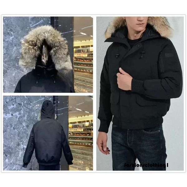 Giacche invernali moda uomo Comodo piumino morbido Designer casual Giacche da esterno slim Canadian Goose da uomo ispessite Nuovo designer canda goose 3731