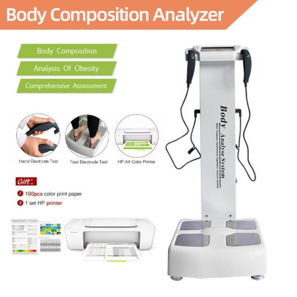 Schlankheitsmaschine 2023 Human Body Elements Analysator Fetttest Gewichtskontrolle mit Drucker Beliebtestes Beauty Center Human-Body Machine388