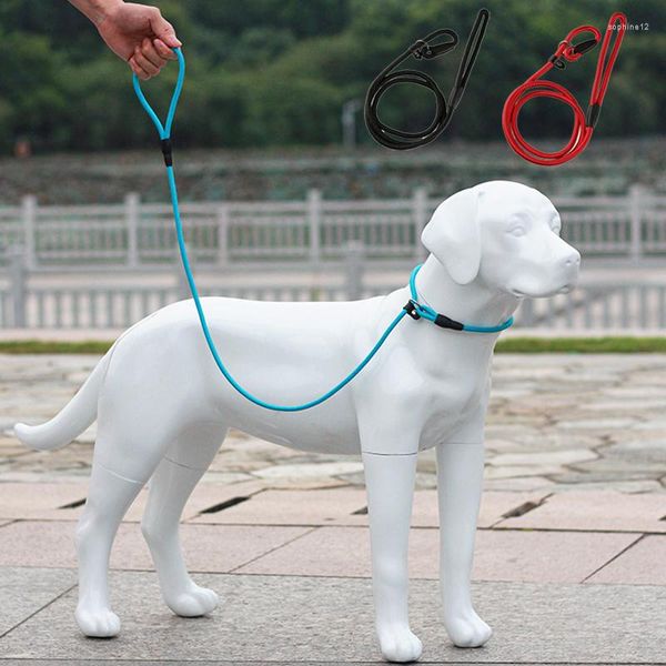 Collari per cani Guinzaglio da addestramento in nylon P Catena da passeggio Collare per animali domestici Guinzagli per cani di piccola taglia Pomeranina Maltese Puppy Corda Mascotas Accessori