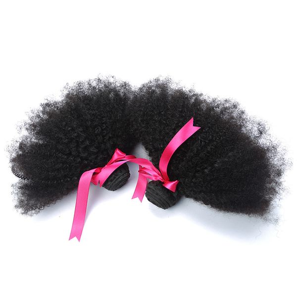 Afro Kinky Curly 3 Bündel peruanische 100% Echthaar-Doppelschussfäden 10-22 Zoll natürliche Farbe Jungfrau-Haarprodukte