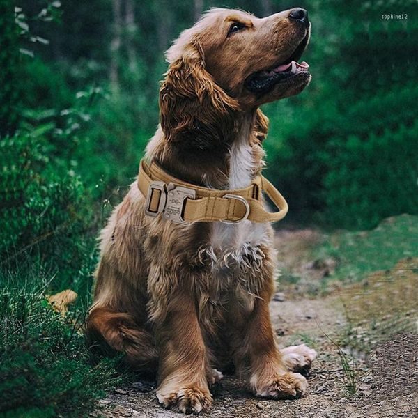 Hundehalsbänder Strapazierfähiges taktisches Halsband Verstellbares Hochleistungs-Militärtraining Haustier Mittelgroße Hunde Magic Sticker ID Panel