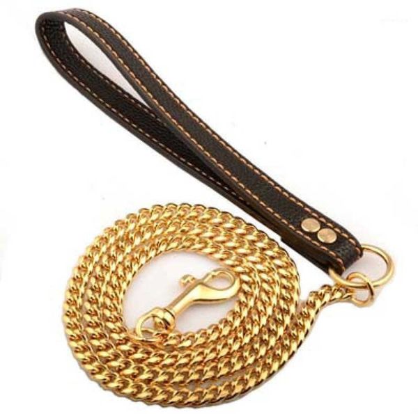 Acessórios colares para cães colares de 10 mm de ouro suprimentos de animal de estimação de couro portátil Catrela de gato tiras de corda para corrente de movimento médio 90ess