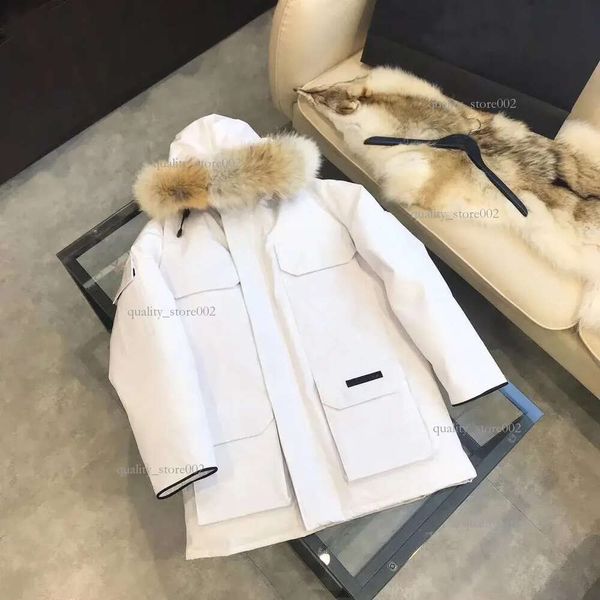 Golden Goose Erkek Moda Kış Ceketleri Rahat Yumuşak Down Ceket Sıradan Tasarımcılar Kanadalı Kaz Açık Yeni Tasarımcı Ceketler Pembe 2468