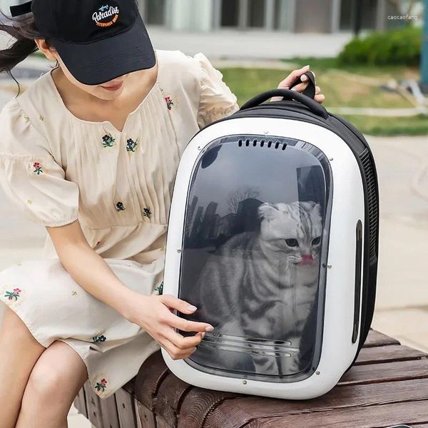 Cat Carriers Portátil Bolsa Espaço Respirável Dobrável Mochila De Viagem Para Animais De Estimação