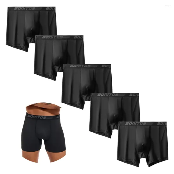 Unterhosen 5 teile/paket 2023 Männer Höschen Polyester Unterwäsche Männliche Marke Boxer Und Für Homme Lot Luxus Set Sexy Shorts geschenk Slip