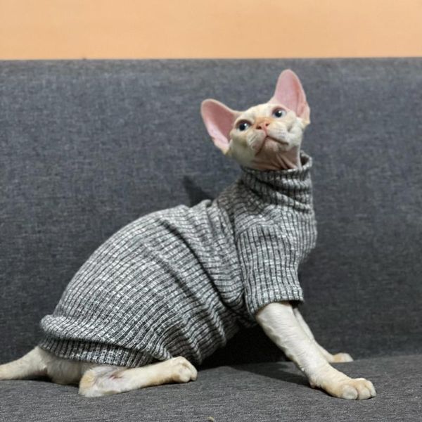 Katzenkostüme, eleganter, warmer Sphynx-Pullover, verdickte Baumwolle, Devon Rex, vierbeinige Bauchdecke, Haustierbekleidung, Kleidung für Kätzchen