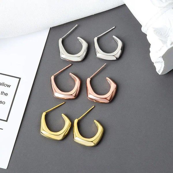 Ohrstecker 2023 Mode Ohrschmuck 3 Farbe für Frauen Mädchen Gold Silber Kein Piercing Fake Knorpel