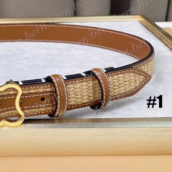 Premium Fashion Straw Woven Belt 2,5 cm Breite Damengürtel für Damengürtel mit Geschenkbox als Geschenk