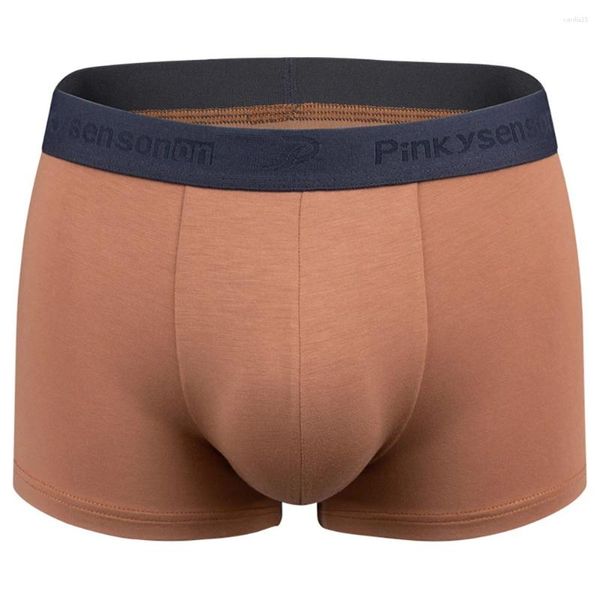 Mutande Uomo Pantaloni Intimo Daily Brand Pantaloncini classici Mutandine Sospensorio Slip boxer da uomo sexy a vita bassa