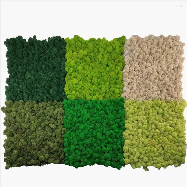 Flores decorativas preservadas rena musgo painel vida eterna plantas reais parede do jardim diy flor mini decoração de casa