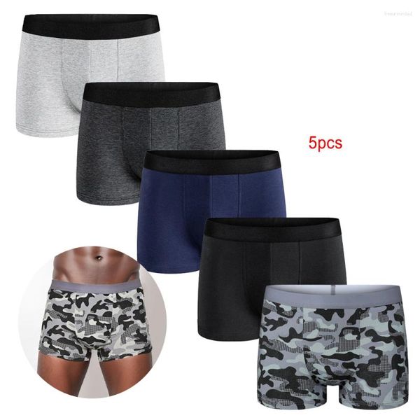 Cuecas 5 pçs / pacote 2023 homens calcinha de algodão roupa interior masculina marca boxer e para homme conjunto de luxo shorts caixa deslizamento kit