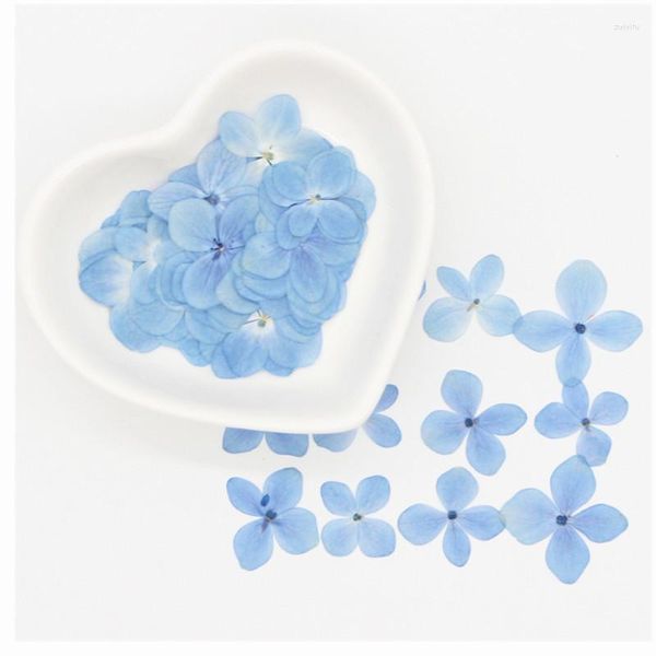 Fiori decorativi 60 pezzi veri petali di ortensie pressati essiccati naturali piccole rose secche di ortensia blu per gioielli in resina artigianale fai da te nail art