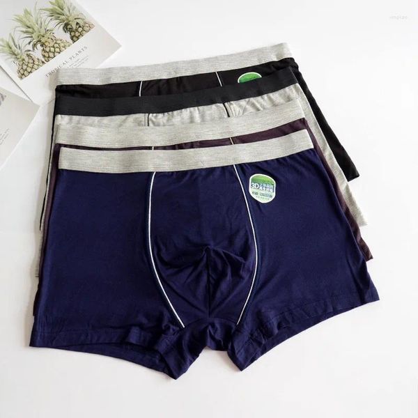 Cueca 1 Sólida Modal Cueca Masculina Moda Canto Plano 34024