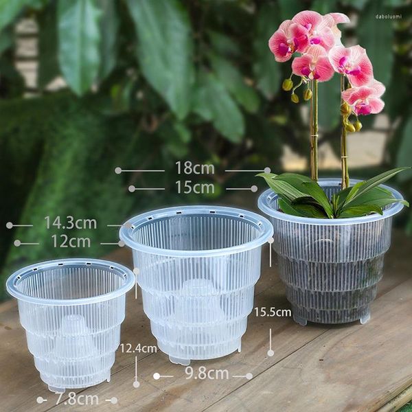 Vasen Praktischer Netztopf aus Kunststoff, durchsichtig, Orchideen-Blumenbehälter, Übertopf, Heimgartendekoration