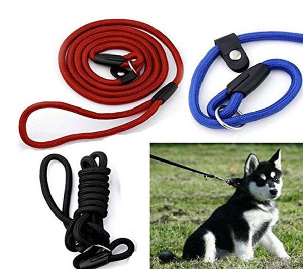 Neue Haustier Hund Nylon Seil Ausbildung Leine Slip Blei Strap Einstellbare Traktion Kragen Pet Tiere Seil Liefert Zubehör4754571