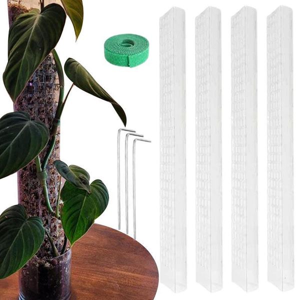 Outras ferramentas de jardim Moss Pólo para Plantas 24 polegadas Pólos de Pólos Indoor Sticks Treine Creeper para crescer para cima 230422