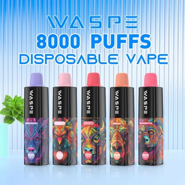 Fornecedor de vape descartável de alta qualidade Waspe vapers puff 8000 baforadas 8K sabor rico sabor de longa duração e cigarro pod puffs charuto vaper desechable