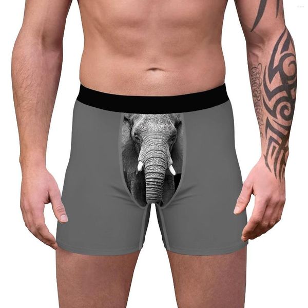 Cuecas cuecas de roupas íntimas masculinas Briefes 3D Elefante Impresso Funny Rodty Boxer Shorts Male Sexy Marca Breathbale calcinha