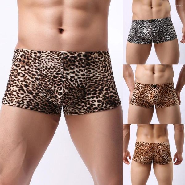 Underpantes masculino com estampa de leopardo masculino de ângulo de ângulo de ângulo plano de baixa cintura de baixa cintura de ângulo de ângulo de ângulo baixo