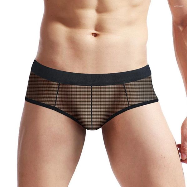 Cuecas sexy macio masculino transparente boxer briefs sheer malha bolsa roupa interior calcinha lingerie de cintura baixa sem costura algodão masculino