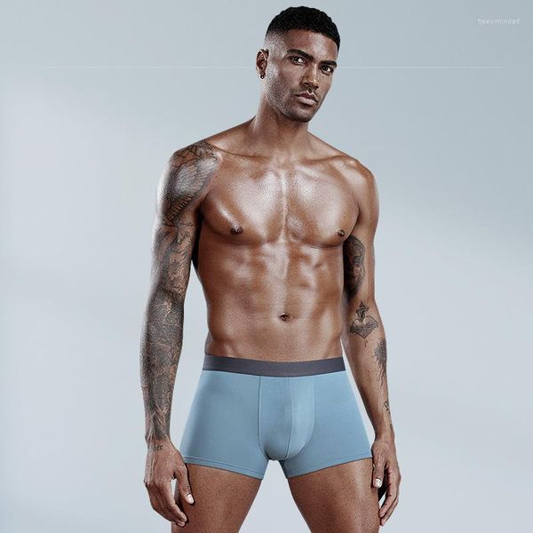 Mutande Intimo di alta qualità Boxer da uomo Cueca Comodi boxer da uomo traspiranti Pantaloncini da uomo modali antibatterici