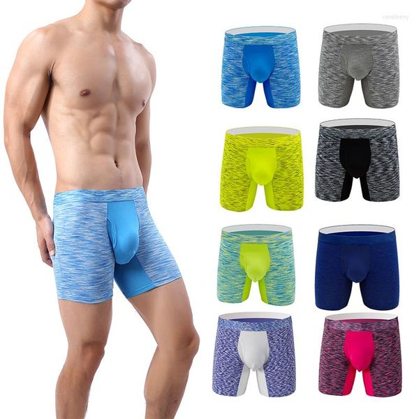 MUITOPANTES CLEVERMEMODE MENMODE MENINO MENINO MENHO DE MESH GAY PALTS BRIPLÍVEL SPORTS CASUAL SPORTS ANTRICTION IMPRESSOR