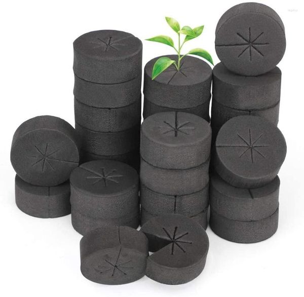 Plantadores 20pcs colarinhos de clone de alta densidade insere bloco de espuma para hidroponia clonando plantas de jardim diy