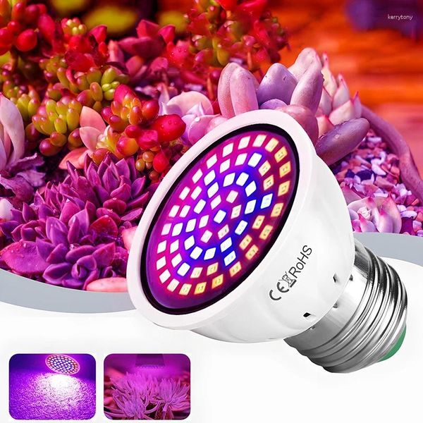 Luzes de cultivo LED Copo de luz para plantas E27 E14 Preenchimento interno 220V Hidropônico Lâmpada de espectro completo Lâmpada de crescimento roxa