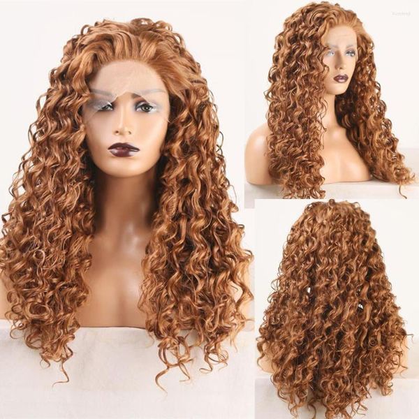 Brown Afro Curly Synthetic Hair Lace Front Female Glueless Heat Fiber Long Daily Wear