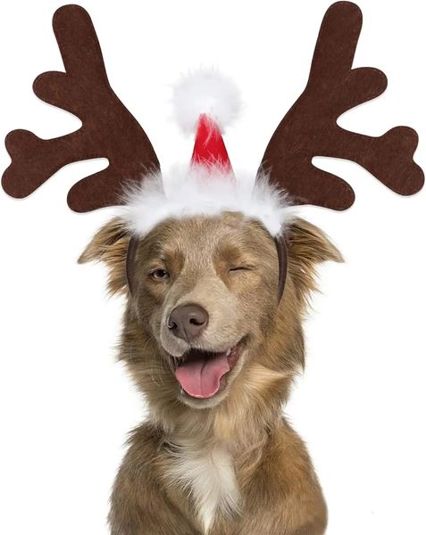Köpek Giyim Köpek Elk Ren Geyiği Antler Head Band ile Santa Hat Pet Noel Kostüm Kostümleri Köpekler ve Kediler İçin Büyük 231124